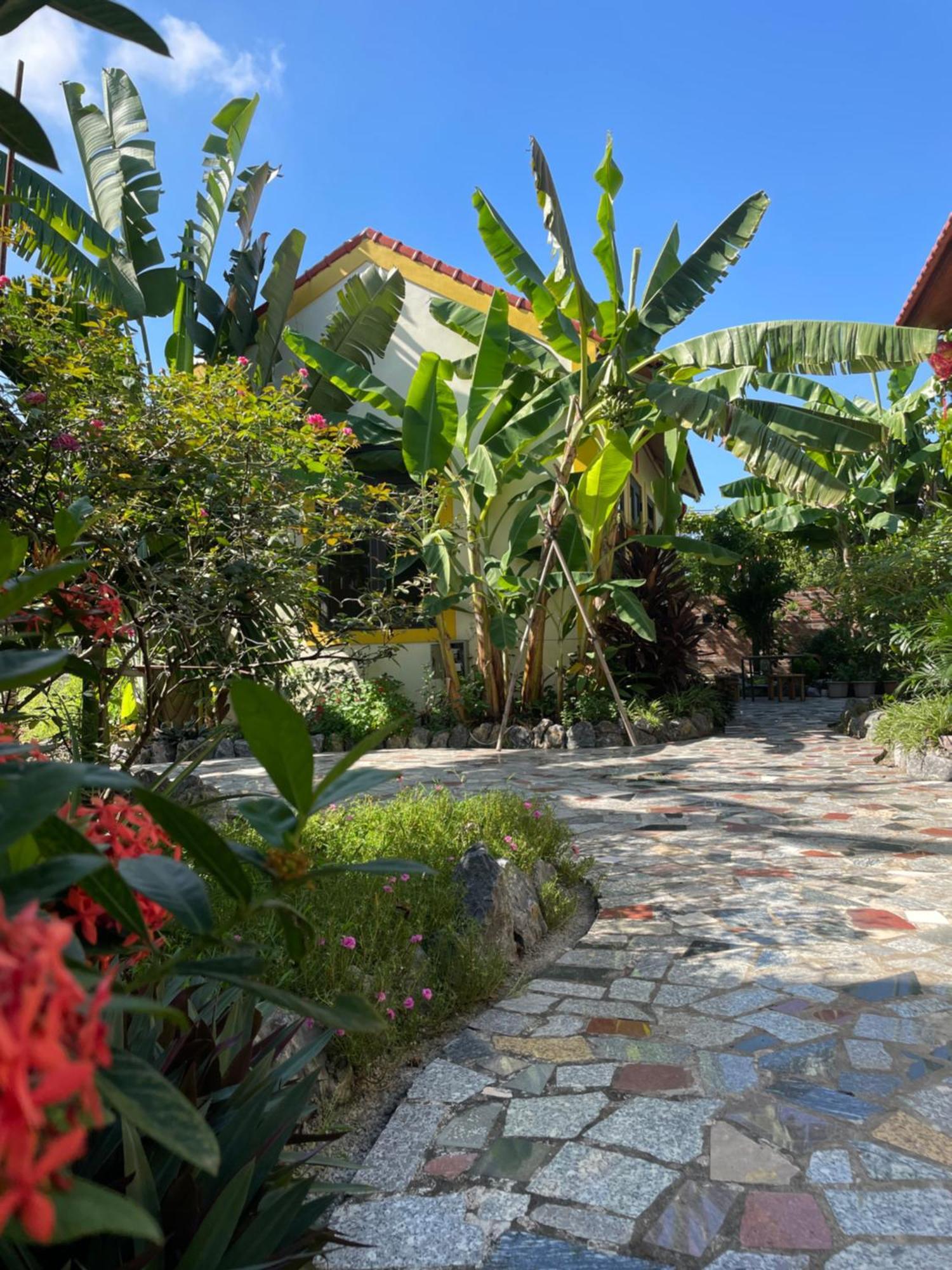 Ninh Binh Royal Homestay Εξωτερικό φωτογραφία
