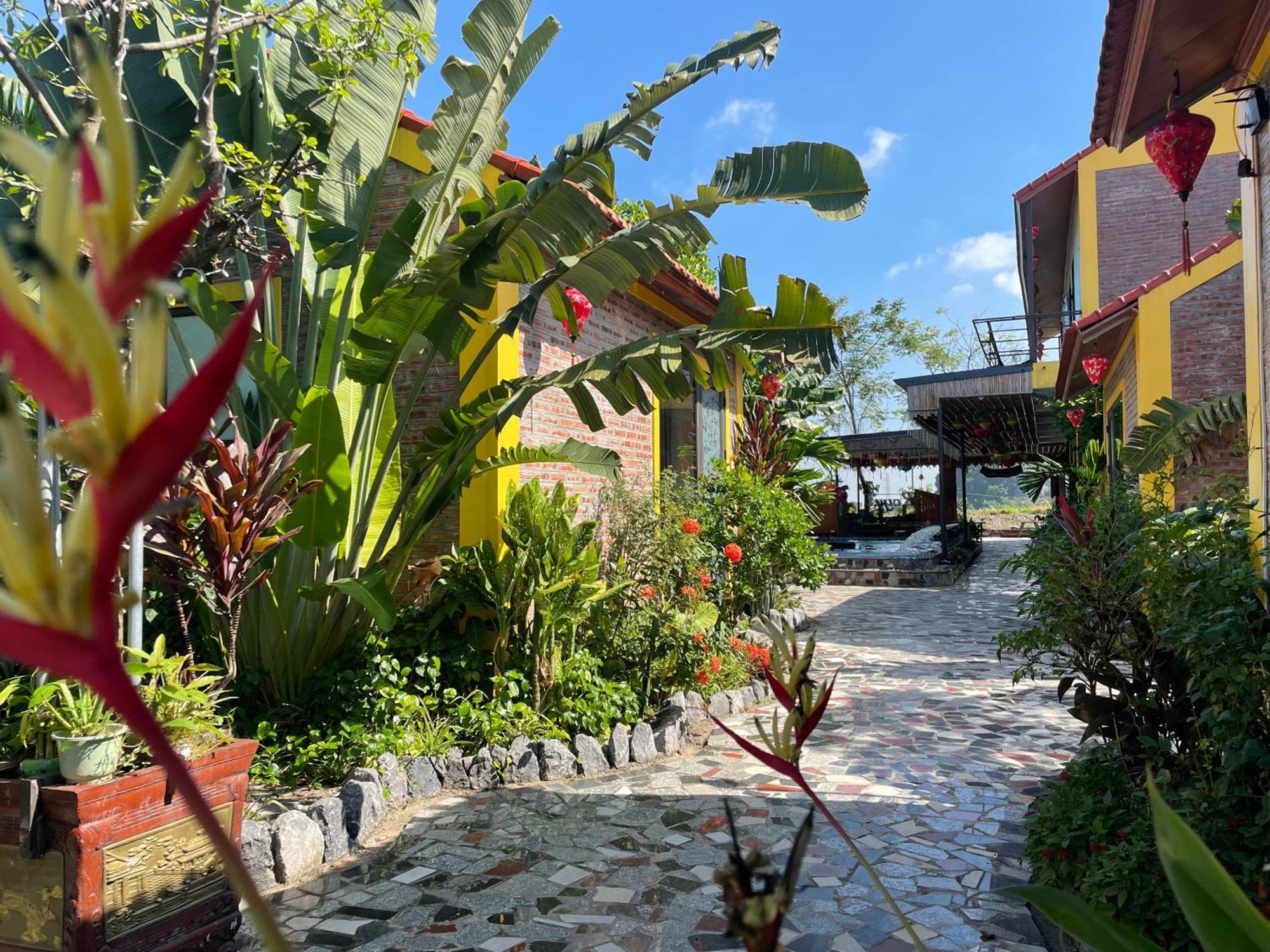 Ninh Binh Royal Homestay Εξωτερικό φωτογραφία